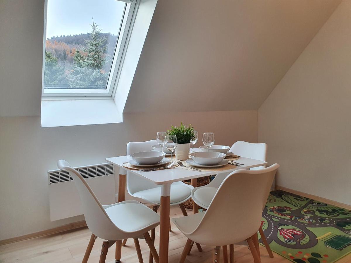 Apartment Brachovna *